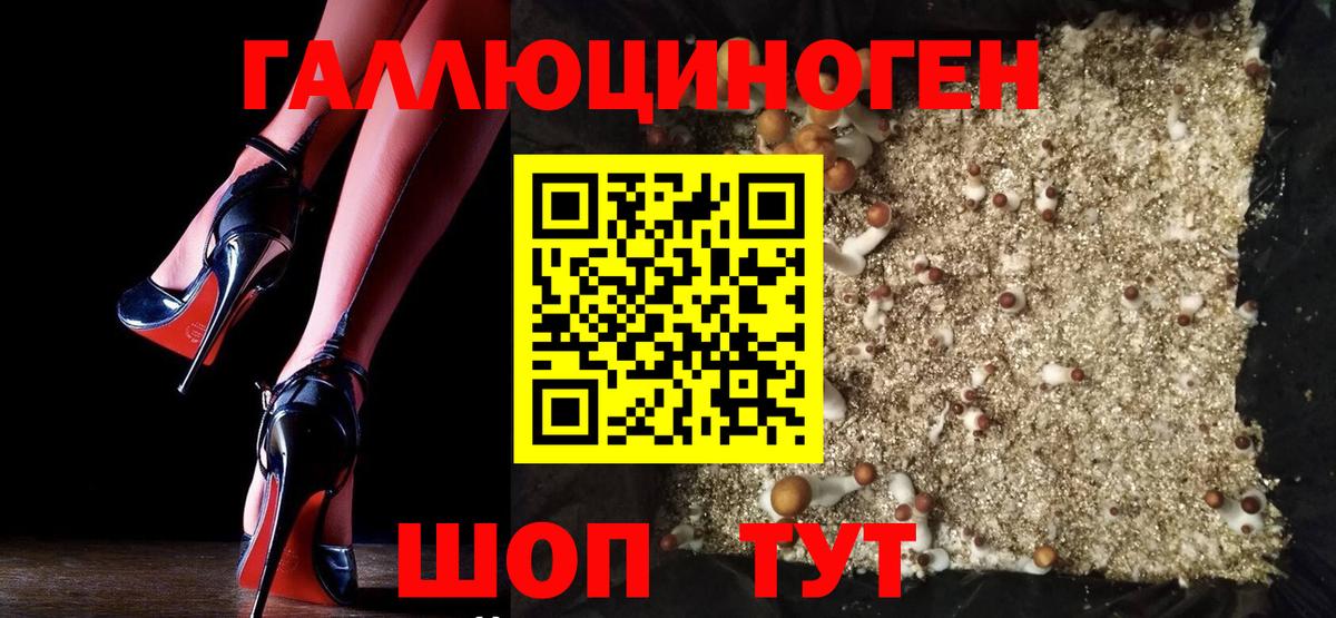 где купить наркотик  Вход с VPN  Лосино-Петровский  Псилоцибиновые грибы GOLDEN TEACHER  Псилоцибиновые грибы мицелий 