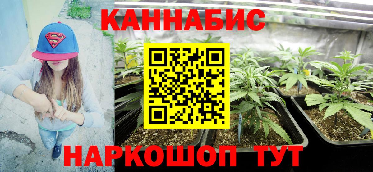 Бошки марихуана индика  Вход с VPN  Лосино-Петровский  Бошки Шишки VHQ 